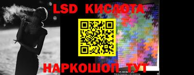 индика Гусь-Хрустальный