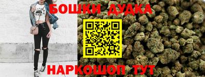 индика Гусь-Хрустальный
