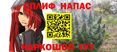 гидра Гусев