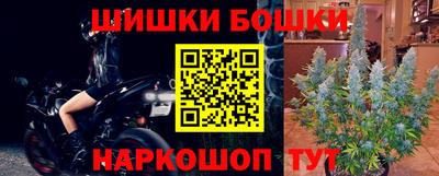 гидра Гусев