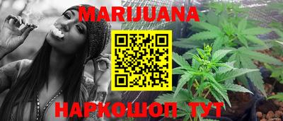 индика Гусь-Хрустальный