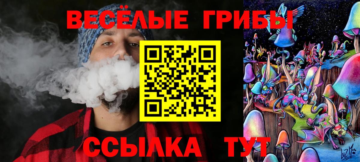 Псилоцибиновые грибы MAGIC MUSHROOMS  Галлюциногенные грибы Psilocybine cubensis  хочу наркоту  Нижний Новгород  Вход с VPN 