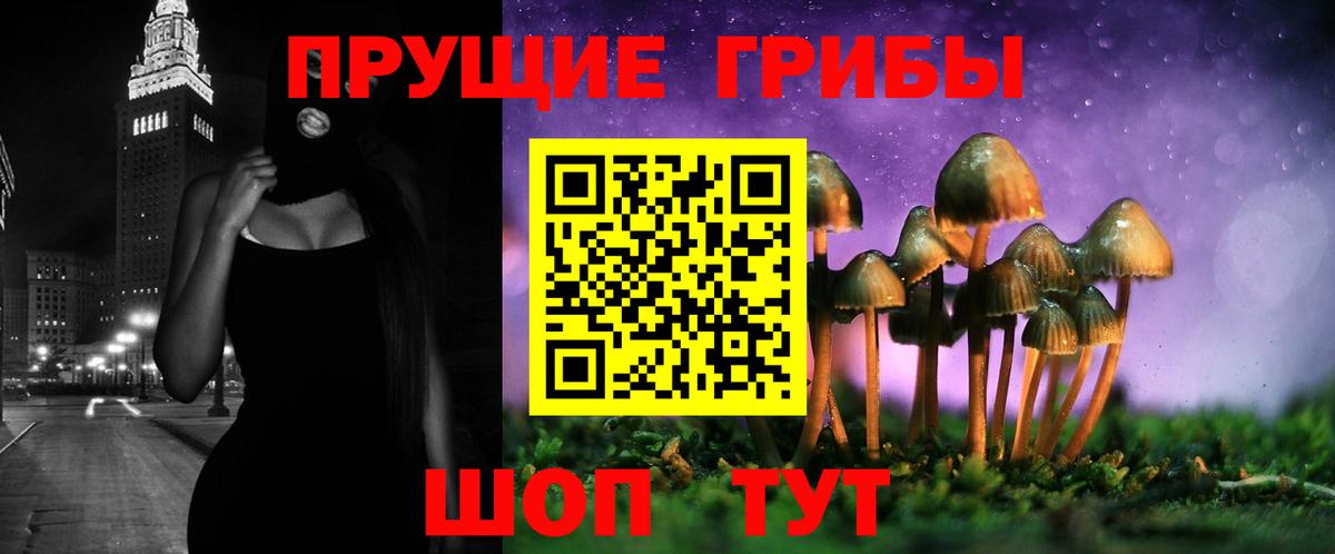 Галлюциногенные грибы мицелий Нижний Новгород